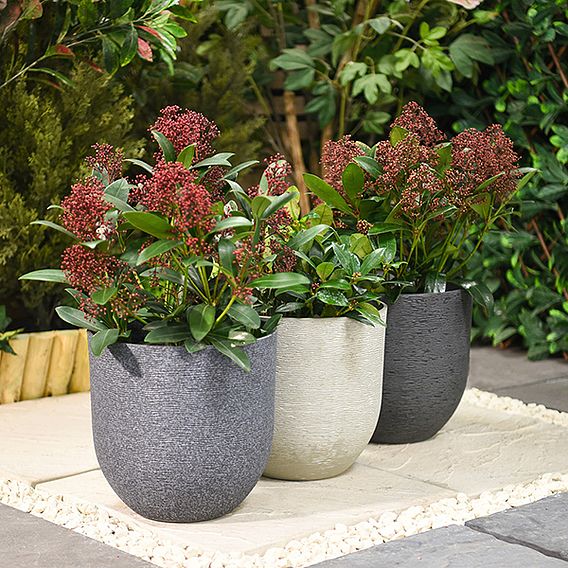 Stone Effect Planter