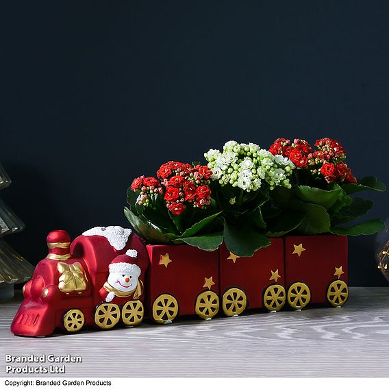 Train Set - Gift