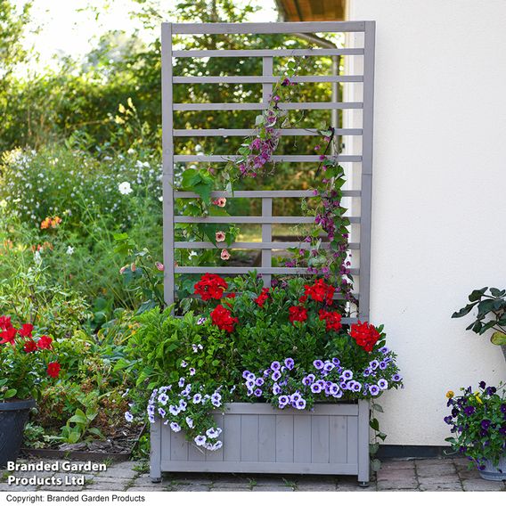 Raised Wooden Planter with Climbing Trellis