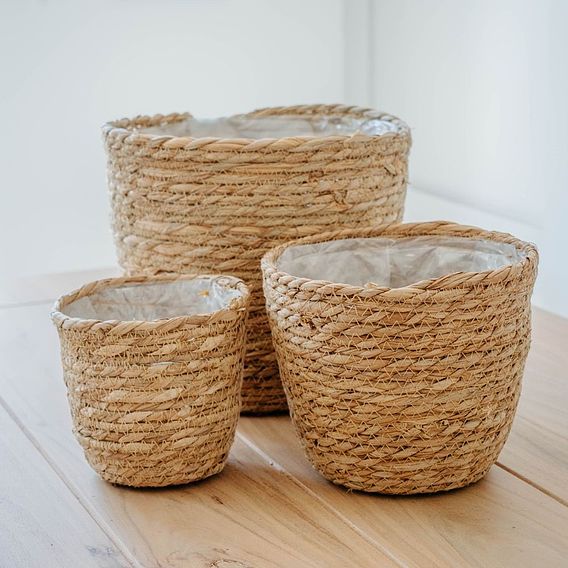 Osaka Straw Basket Pot