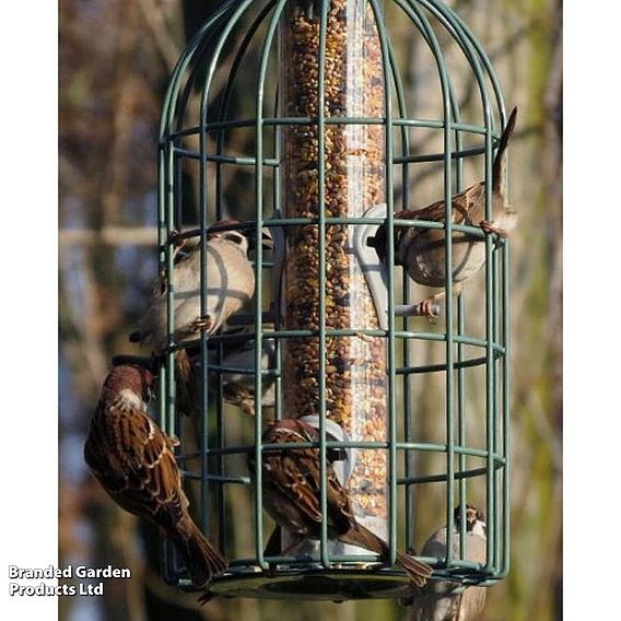 The Nuttery Squirrel-Proof Original Seed Feeder Ocean Green