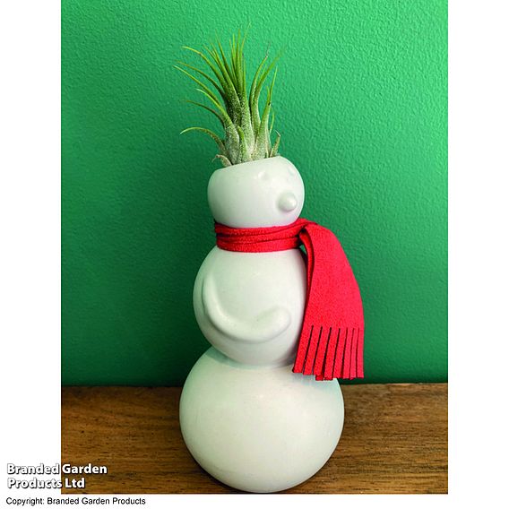 Spiky Haired Snowman - Gift