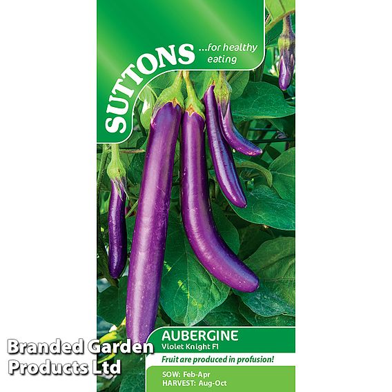 Aubergine Violet Knight F1 - Seeds