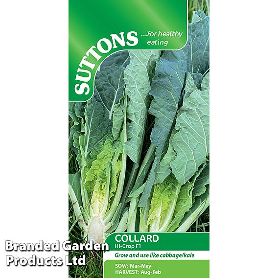 Cabbage 'Collard Hi-Crop' F1 - Seeds