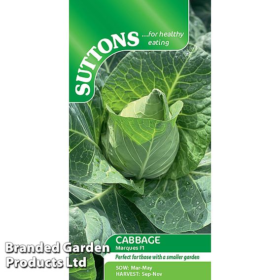 Cabbage 'Marques F1 (Autumn Sweetheart Type)' - Seeds