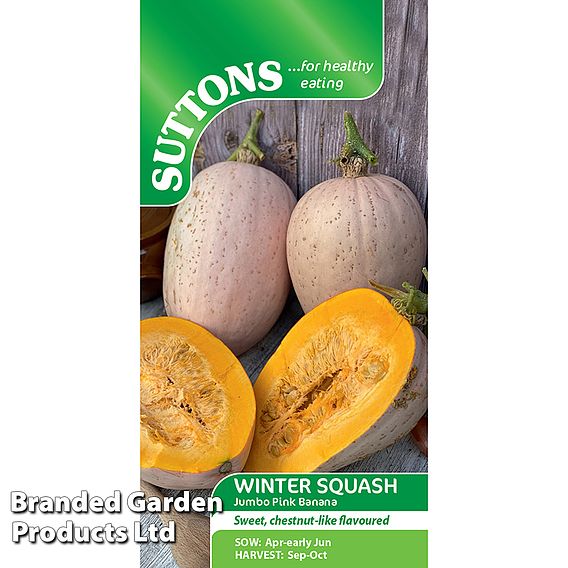 Squash Jumbo Pink Banana (Winter) - Seeds