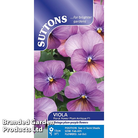 Viola cornuta 'Floral Power Plum Antique' F1 - Seeds