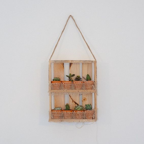 Hanging Wooden Succulent Shelf & Plants