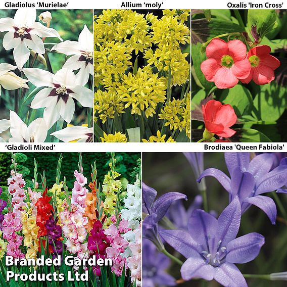 Bulb, Perennial and Suttons Seed Bumper Pack