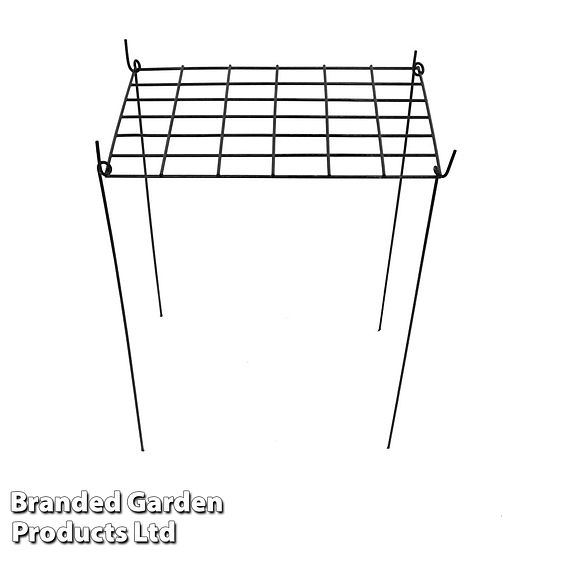 Rectangle Grow Through Grid Support