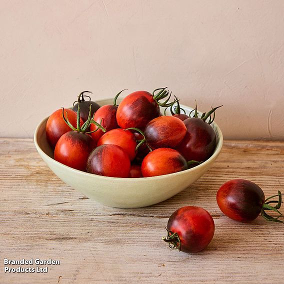 Tomato 'Black Moon' F1 - Seeds