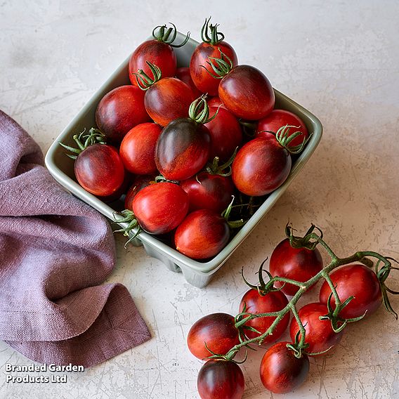 Tomato 'Black Moon' F1 - Seeds