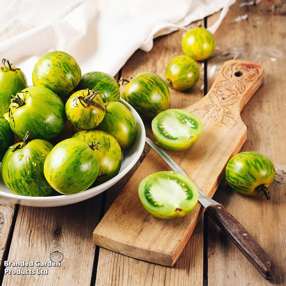 Tomato 'Green Zebra' (Indeterminate) - Organic Seeds