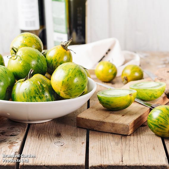 Tomato 'Green Zebra' (Indeterminate) - Organic Seeds