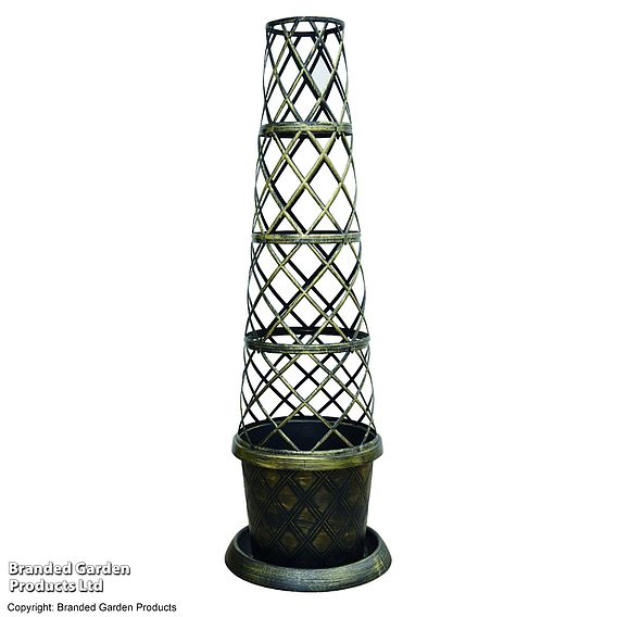 Black & Gold Tower Pot™