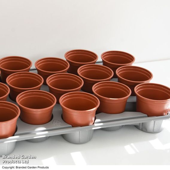 Shuttle Trays and Pots