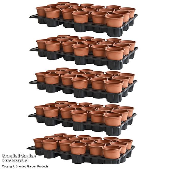 Shuttle Trays and Pots