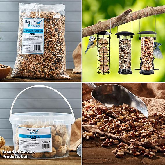 Bird Feeder Triple Pack and Feed Bundle