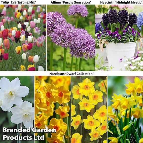 Spring Bulb Bundle | Suttons