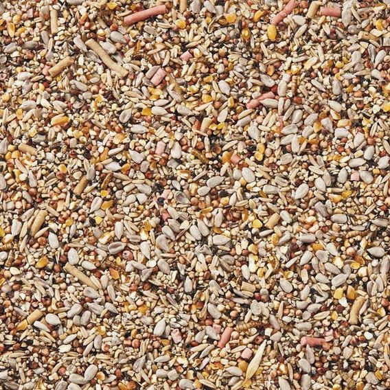 Spring & Summer Premium Seed Mix