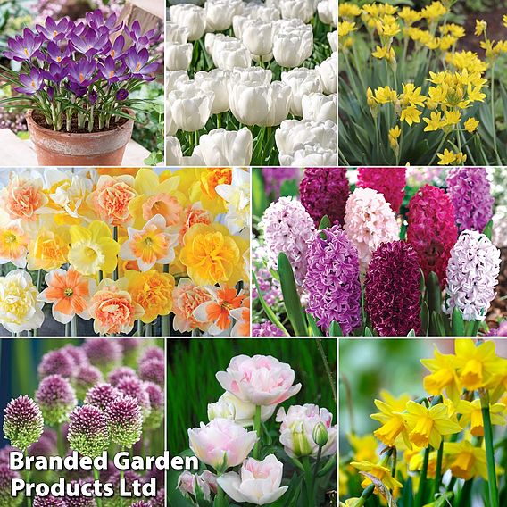 Spring Saver Bulb Collection