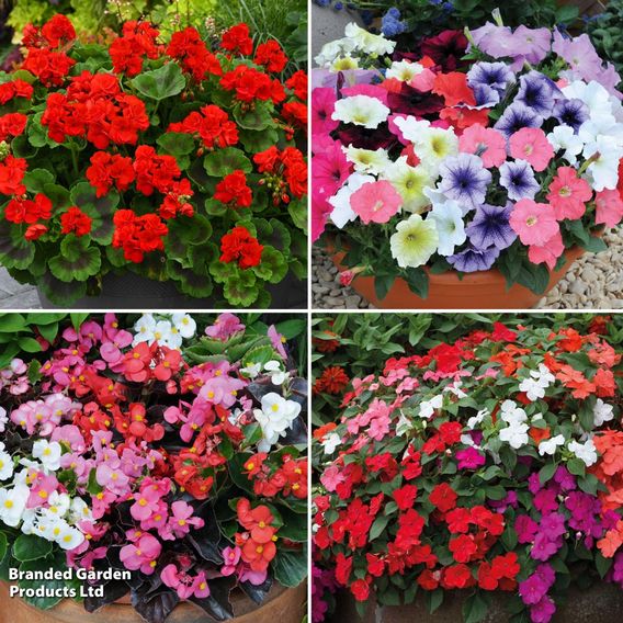 Summer Bedding Saver Collection